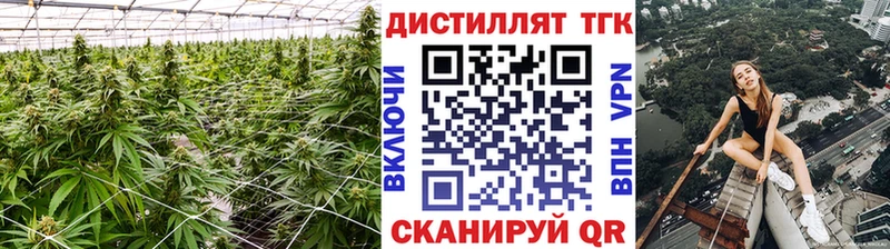 ссылка на мегу ONION Лермонтов ТГК THC oil